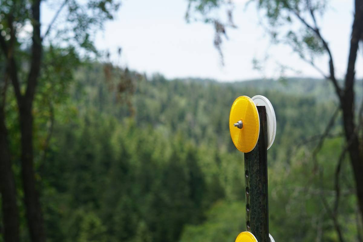 This is a reflector on the highway outside of Cloudcroft, NM.
